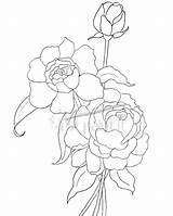 Peony Coloring Hydrangea Drawing Pages Peonies Flower Outline Justpaintitblog Line Getdrawings Flowers Drawings Kids sketch template