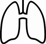 Lungs Outline Clipart Lung Freebie Webstockreview Pinclipart Library sketch template