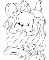 Coloring Pages Puppy Christmas Present Printable Sheets Dog Choose Board sketch template