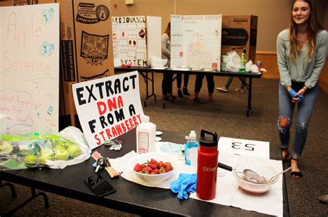 students experiment  science fair beaufort county community college