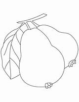 Guava Coloring Pages Drawing Sketch Kids Fruit Two Sheets Bestcoloringpages Colouring Print Vector Color Guavas Printable Fruits Clip Sketches Paintingvalley sketch template