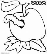 Worm Coloring Pages Preschool Colorings sketch template