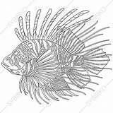 Lionfish Coloring Pages Adult Drawing Zentangle Fish Zebrafish Stylized Lion Illustration Pterois Sketch Getdrawings Printable Etsy Cartoon Drawn Animal Getcolorings sketch template