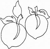 Coloring Pages Peaches Peach sketch template