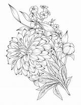 Coloring Pages Flower Flowers Book Printable Adult Etsy Drawings Nature Sold Pdf Line sketch template