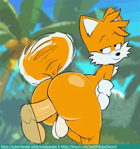 Post 4437211 Animated Kingofacesx Sonic The Hedgehog Series Tails
