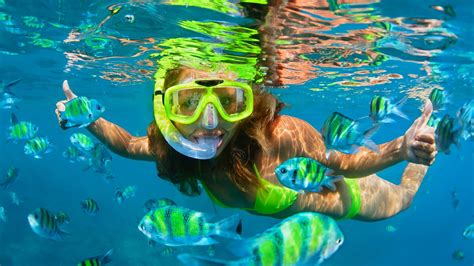 snorkeling spots   caribbean