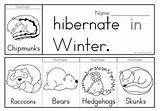 Coloring Pages Hibernation Animals Hibernating Winter Preschool Hibernate Kindergarten Words Theme Animal Worksheets Sheet Activities Science Do Color Sheets Kids sketch template