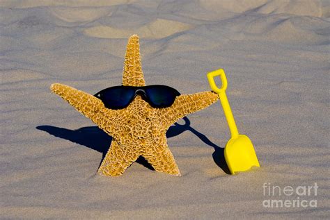 cool starfish photograph  anthony totah pixels