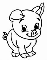 Pig Coloring Pages Cute Guinea Baby Drawing Pigs Christmas Printable Cartoon Kids Animal Minecraft Adorable Peppa Animals Color Colouring Zoo sketch template