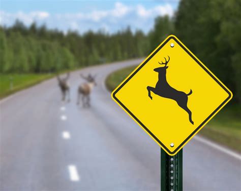 deer sign  livingston postcom