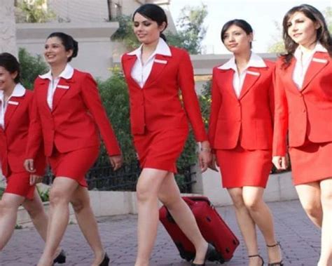 cabin crew jobs  airlines service provider  chennai
