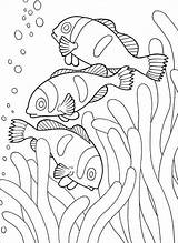 Coloring Pages Fish Clown Printable Clownfish Coloringbay sketch template