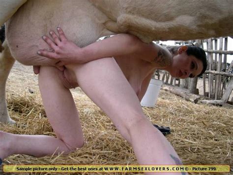 woman fucked by a cow nude photos