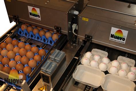 Sistemas De Impresión Y Sellado De Huevos Nuovo Selladora Automatica