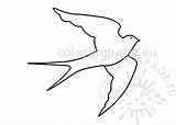 Swallow Outline Flying Printable Bird Birds Coloring sketch template