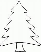 Tree Pine Coloring Pages Drawing Library Clipart Simple Easy sketch template
