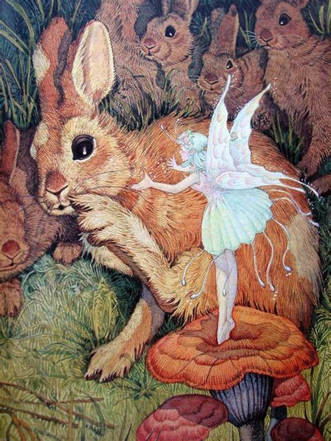 rabbits   fairy fairytale art vintage fairies fairy tales