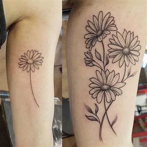 The Best Daisy Flower Tattoo And View Daisy Flower Tattoos Daisy