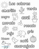 Spanish Coloring Pages Worksheets Printable Colors Color Numbers Words Learning Preschool Activities Kids Worksheet Number Printables Colores Kindergarten Word Los sketch template
