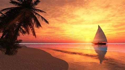 tropical island  sailboat stock images image