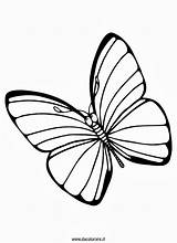 Farfalle Farfalla Fiori Animali Ricamo Artigianato Risultati Disegnare sketch template