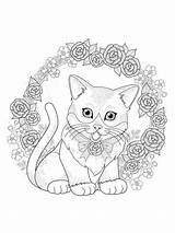 Kitten Adults Mycoloring Decorated sketch template