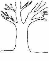 Arbre Drzewa Coloring Roots Albero Kontury Automne Kolorowanka Arbres Saison Drzewo Druku Trunk Jesienne Coloriages Colorare Darbre Liście Bare Disegni sketch template