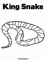 Snake Coloring Pages Moccasin Water Book Template King sketch template