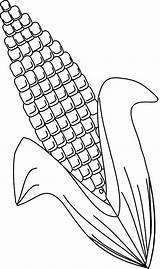 Corn Getcolorings sketch template