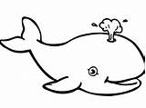 Whale Coloring Pages Kids Killer Outline Drawing Sperm Preschool Printable Jonah Clipart Animals Shark Color Fascinating Gorgeous Getcolorings Kindergarten Getdrawings sketch template