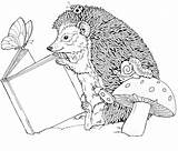 Hedgehog Coloring Pages Coloringpages1001 Hedgehogs Colouring Adult sketch template