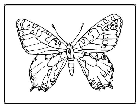 kids  love  butterfly coloring pages
