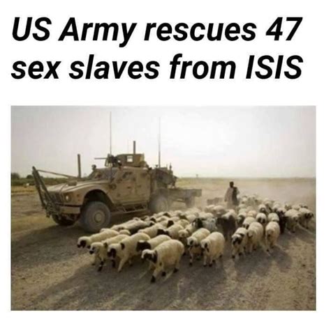 mission objectives rescue sex slaves cattle chodi