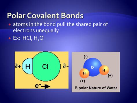 bond polarity  molecules powerpoint    id