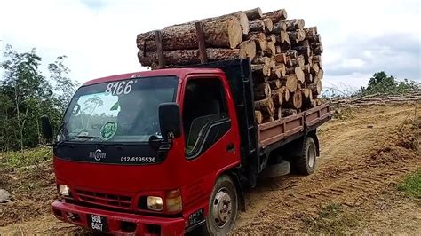 truk kayu  populer