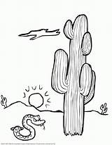 Desert Coloring Pages sketch template