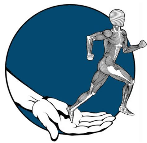high quality physical therapy logo orthopedic transparent png