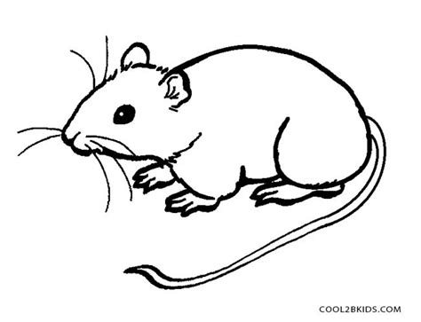 rat coloring pages kidsuki