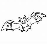 Morcego Colorir Voar sketch template