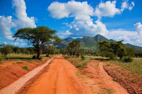 red ground road bush  savanna tsavo west kenya africa stock