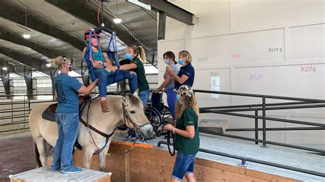 aspects  equine therapy  lift load
