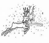 Coloring Reindeer Pages Christmas Flying Drawing Printable Print Return Main Kidprintables Getdrawings Gif sketch template