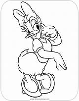 Daisy Coloring Pages Duck Disney Mouse Mickey Sheets Printable Donald Minnie Colouring Drawing Disneyclips Pdf Posing Choose Board sketch template