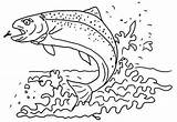 Coloring Trout Fish Apache Wonderful Sheet Pages Kids Beautiful sketch template