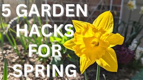 5 useful garden hacks for spring pest seeds bulbs youtube