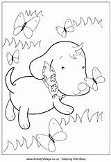 Puppy Butterflies Colouring Coloring Pages Puppies Cute Pdf Explore Animals Dog Print Cartoon Activityvillage sketch template