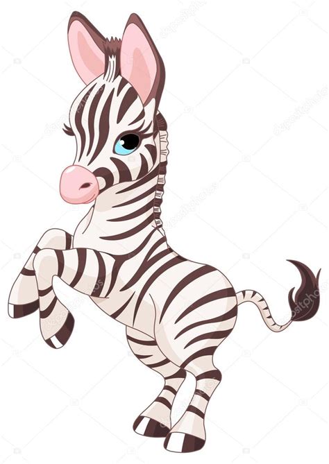 cute baby zebra stock vector image  cdazdraperma