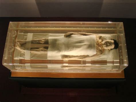 xin zhui s lady dai mummy the best preserved corpse in history