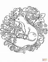 Fox Coloring Pages Drawing Printable Kids Animal Red Nature Book Animals Megan Cute Supercoloring Sheets Adults Adult Forest Mandala Patterns sketch template